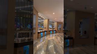 Delphin be grand resort restaurants [upl. by Ilyak]