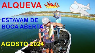 Pesca de achigã na barragem de Alqueva verão de 2024 [upl. by Aggie]