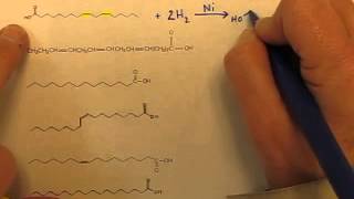 VIDEO Fatty Acids Reactions 1 Hydrogenation [upl. by Stevenson]