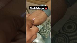 Blood Collection 🩸bloodtest lab bloodcollection safecarepoint [upl. by Schecter315]