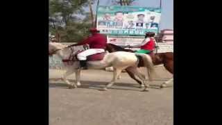 HHRS  HYDERABAD HORSE RIDING SCHOOL  CROSS COUNTY  TOLICHOWKI  HYD wmv [upl. by Yale]