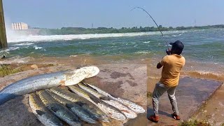 NO Bait Fishing Technique  Murral Fish Catching  Wallago Attu catfish Fishing  Hook Techniques [upl. by Ahseinet]