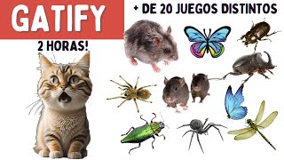 Juegos para Gatos  2 HORAS  Más de 20 Juegos Distintos  Ratones arañas bichos mariposas [upl. by Han]