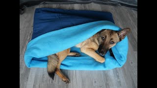 Kuschelsack Schlafsack für den Hund nähen DIY für Anfänger geeignet [upl. by Ispep751]