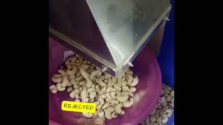 Meyer 120KF Cashew Color Sorter Machine by NICPL II Your Sorting Solution II NICPL [upl. by Nagear]