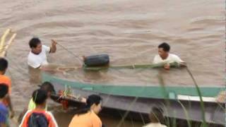 The Mekong giant catfish the mother of giants [upl. by Bork]