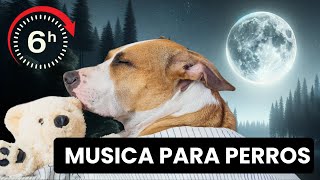 🐶💤 6 horas de MÚSICA RELAJANTE para PERROS Ansiosos  ¡Prueba y Verás [upl. by Suhpoelc847]