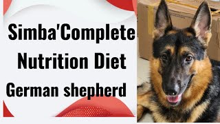 German shepherd diet German shepherd complete Nutrition Diet Gsd Morning dietsimba germanshepherd [upl. by Sheri]