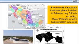 Phytoremediation of wastewater with Thalia Geniculata [upl. by Ofella]