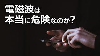 電磁波の正体とは？嘘と本当【日本科学情報】【科学技術】 [upl. by Nonarb]