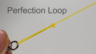 Perfection Loop  Fishing knot [upl. by Neerod]