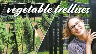 My Garden Trellis for Vegetables  DIY Design for Cucumbers Tomatoes amp Beans [upl. by Radbourne]