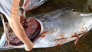 BigEye Tuna Cutting Skills by Top Master [upl. by Iroj]