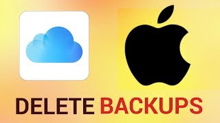 How to Delete Old iCloud Backups on iPhone and iPad [upl. by Seessel]