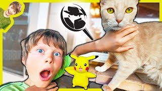 PET DETECTIVE PIKACHU AND THE MYSTERY OF THE MISSING CAT [upl. by Yrol]