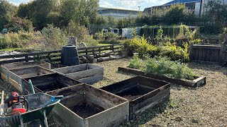 No 135  Down The Allotment Busy Doing Nothing [upl. by Orly391]