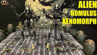 NECA Alien Romulus Scorched Xenomorph Action Figure Review amp Comparison [upl. by Konstantin173]