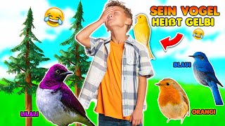 Er nennt seine Vögel nach Farben🤣 Fortnite Random Teams [upl. by Marta]