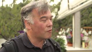 Stewart Lee on Galway Comedy Festival [upl. by Eniliuqcaj]