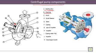 Hydraulic Machines  58  Centrifugal Pump Calculation of the Manometric Head [upl. by Etam]