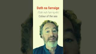 How to say Colour of the Sea in Irish bitesizeirish [upl. by Chenay]