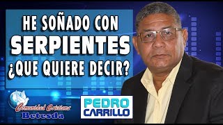 N° 088 quotHE SOÑADO CON SERPIENTES ¿QUÉ QUIERE DECIRquot Pastor Pedro Carrillo [upl. by Vihs]