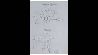 Structure of Rifampicin and Rifambutin [upl. by Nnodnarb]