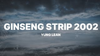 Yung Lean  Ginseng Strip 2002 Lyrics quotBtches come and go brah but you know I stayquot [upl. by Lem]