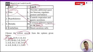 Pons IProvides additional spacefor Neurons regulatesposture and balance2 Hypothalamus IIControl [upl. by Crespi]