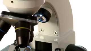 Duo Scope Microscope Kit [upl. by Roede]