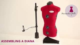 Assemble a Diana adjustable form [upl. by Rhiana872]