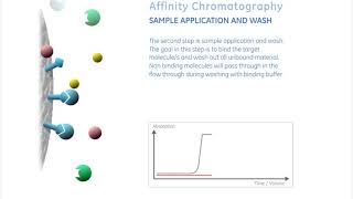 La chromatographie daffinité expliquée  Animation GE [upl. by Arikahs]