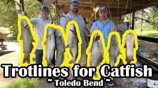 Trotlines for Catfish  Toledo Bend Fishing Trip  Trotline Fishing [upl. by Enela]