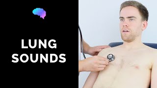 Lung sounds respiratory auscultation sounds  UKMLA  CPSA [upl. by Annnora]