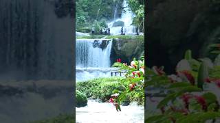 Must see in JAMAICA YS Falls  the biggest waterfalls in Jamaica [upl. by Stelmach]