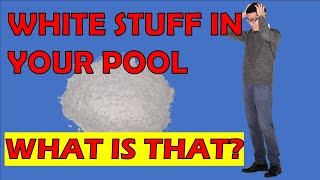 Whats That White Powdery Stuff On The Bottom Of My Pool  Top 7 Reasons [upl. by Aurelius]