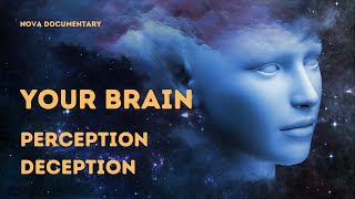 The Hidden Illusions of Your Mind Understanding Perception Deception  NOVA Documentary [upl. by Arremat510]