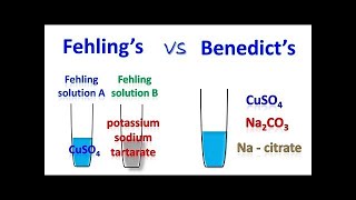 Fehling and Benedict Tests for Reducing Sugars [upl. by Lehcir]