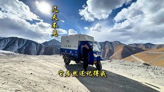 从萨普神山返回那曲的路上又遇到5天前的小狗，居然还认识我，又在一起吃了一顿饭 [upl. by Eenwahs6]