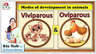 Viviparous Vs Oviparous Animals [upl. by Anilef]