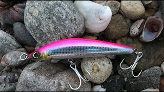 Catching Striped Bass With Pink Lures [upl. by Haliak]