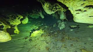 Ginnie Springs Cave Dive [upl. by Zaraf]