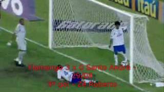 Todos os gols do Flamengo no Brasileirão 2009 Parte 12 [upl. by Akelahs]