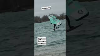 WingSurfingepplessee rheinstettenkarlsruhe germanytravelvlogshort [upl. by Schott]