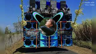 VIRAL DJ TRAP TERBARU FULL BASS SOUND HOREG FYP TIK TOK 2024 [upl. by Broder]