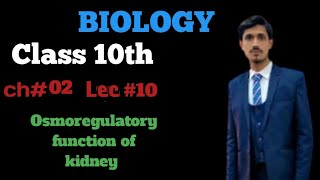 Osmoregulatory function of kidney class 10th Biology Chapter 03 Lecture 10 [upl. by Kcorb199]