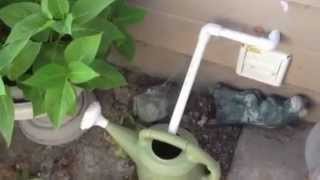 Saving Water From The Air Conditioner For Your Garden [upl. by Noedig]