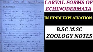 LARVAL FORMS OF ECHINODERMATA IN HINDI [upl. by Dory]