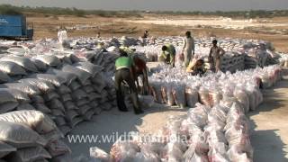 Packing of the salt bags in the Rann of Kutch [upl. by Atwater934]