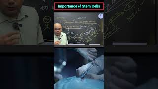 Stem Cells biotechnology civilserviceexam scienceandtechnology [upl. by Arukas]